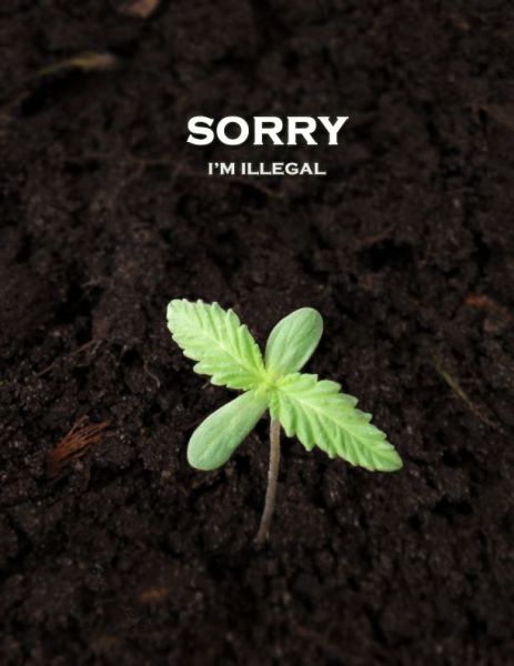 Sorry Illegal.jpg (35 KB)